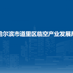 哈爾濱市道里區(qū)臨空產(chǎn)業(yè)發(fā)展局各部門(mén)職責(zé)及聯(lián)系電話(huà)