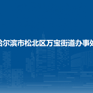 哈爾濱市松北區(qū)萬(wàn)寶街道辦事處各部門職責(zé)及聯(lián)系電話