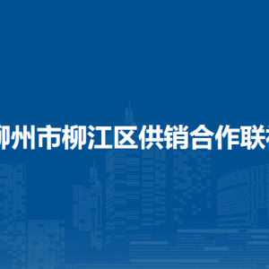 柳州市柳江區(qū)供銷(xiāo)合作聯(lián)社各部門(mén)負(fù)責(zé)人和聯(lián)系電話