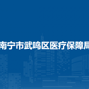 南寧市武鳴區(qū)醫(yī)療保障局各部門(mén)職責(zé)及聯(lián)系電話(huà)