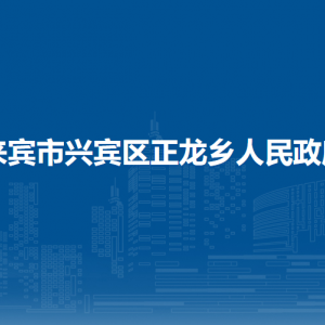 來賓市興賓區(qū)正龍鄉(xiāng)政府各部門負責(zé)人和聯(lián)系電話