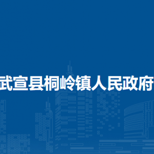 武宣縣桐嶺鎮(zhèn)政府各部門負(fù)責(zé)人和聯(lián)系電話