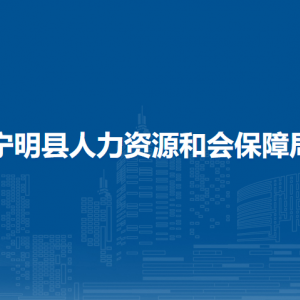 寧明縣人力資源和社會(huì)保障局各部門聯(lián)系電話