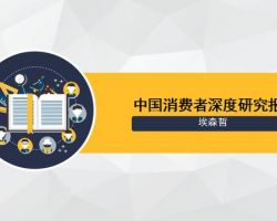 2017年中國消費者調(diào)研報告