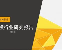 2017年中國經濟與投資機會研究報告(范文下載)