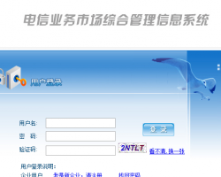 電信業(yè)務市場綜合管理信息系統入口
