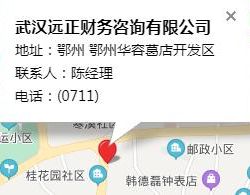 武漢遠(yuǎn)正財(cái)務(wù)咨詢(xún)有限公司