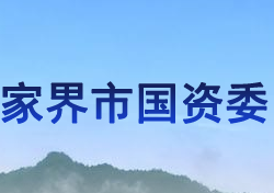 張家界市人民政府國有資產(chǎn)