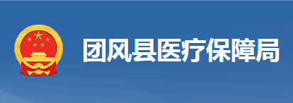 團(tuán)風(fēng)縣醫(yī)療保障局