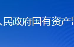 婁底市人民政府國(guó)有資產(chǎn)監(jiān)