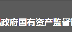 懷化市人民政府國有資產(chǎn)監(jiān)督管理委員會