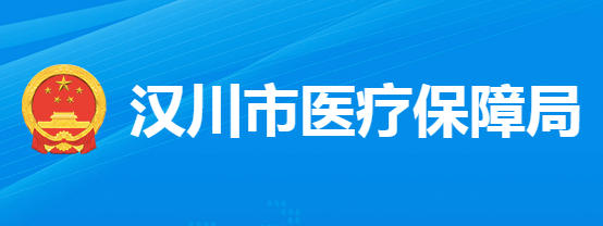 漢川市醫(yī)療保障局