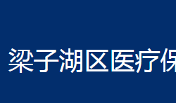 鄂州市梁子湖區(qū)醫(yī)療保障局