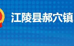 江陵縣郝穴鎮(zhèn)人民政府政務(wù)服務(wù)網(wǎng)