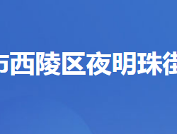 宜昌市西陵區(qū)夜明珠街道辦事處