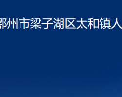 鄂州市梁子湖區(qū)太和鎮(zhèn)人民政府