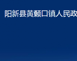 陽(yáng)新縣黃顙口鎮(zhèn)人民政府政務(wù)服務(wù)網(wǎng)