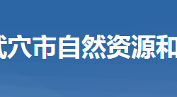 武穴市自然資源和規(guī)劃局