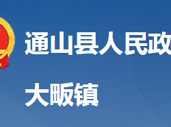 通山縣大畈鎮(zhèn)人民政府