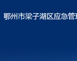 鄂州市梁子湖區(qū)應急管理局