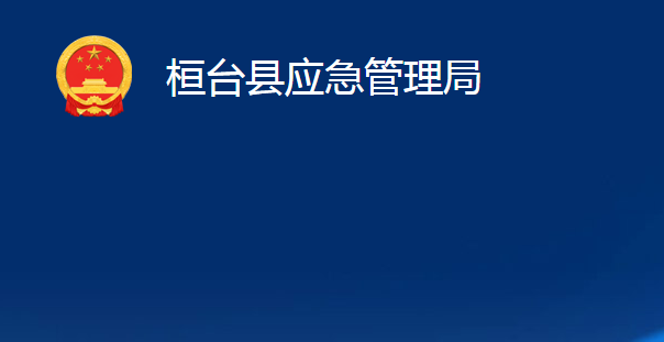 桓臺縣應(yīng)急管理局