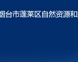 煙臺(tái)市蓬萊區(qū)自然資源和規(guī)劃局