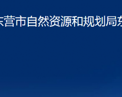 東營市自然資源和規(guī)劃局東