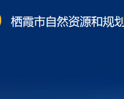 棲霞市自然資源和規(guī)劃局