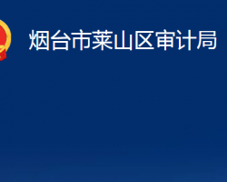 煙臺市萊山區(qū)審計局