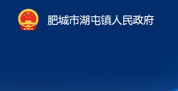 肥城市湖屯鎮(zhèn)人民政府