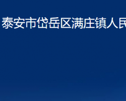 泰安市岱岳區(qū)滿莊鎮(zhèn)人民政府