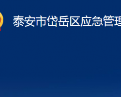 泰安市岱岳區(qū)應(yīng)急管理局