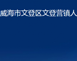 威海市文登區(qū)文登營鎮(zhèn)人民政府