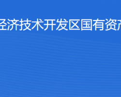 湛江經(jīng)濟技術(shù)開發(fā)區(qū)國有資產(chǎn)經(jīng)營公司