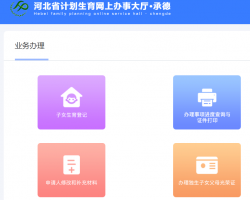 承德市計劃生育網(wǎng)上辦事大廳入口