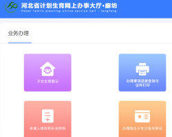 廊坊市計劃生育網上辦事大廳入口