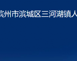 濱州市濱城區(qū)三河湖鎮(zhèn)人民政府