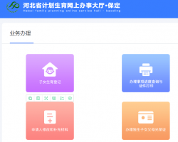 保定市計劃生育網上辦事大廳入口