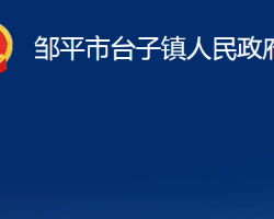 鄒平市臺子鎮(zhèn)人民政府