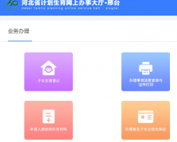 邢臺市計劃生育網上辦事大廳入口