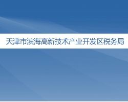 天津市濱海高新技術產業(yè)開發(fā)區(qū)稅務局"