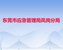 東莞市應急管理局鳳崗分局