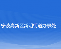 寧波高新區(qū)新明街道辦事處網(wǎng)上辦事大廳