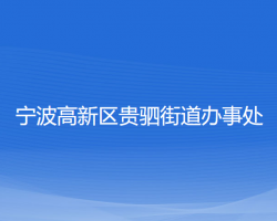 寧波高新區(qū)貴駟街道辦事處網(wǎng)上辦事大廳