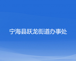 寧?？h躍龍街道辦事處