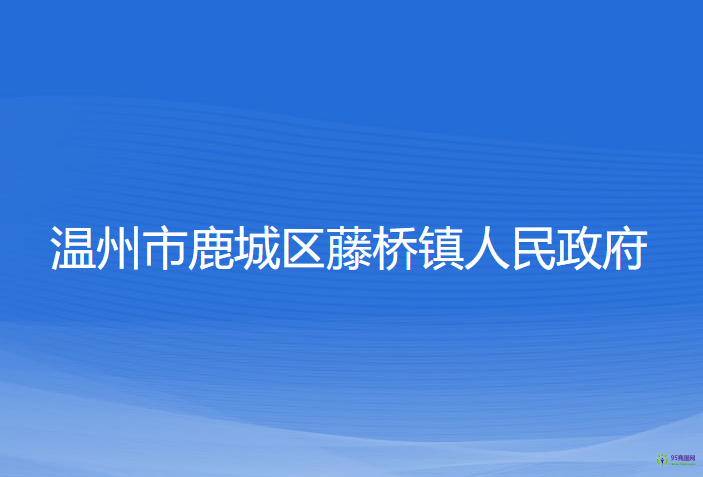 溫州市鹿城區(qū)藤橋鎮(zhèn)人民政府