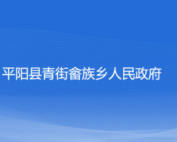 平陽(yáng)縣青街畬族鄉(xiāng)人民政府