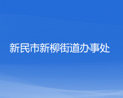 新民市新柳街道辦事處