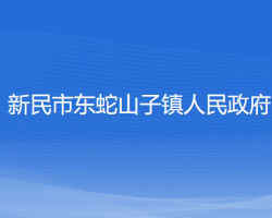 新民市東蛇山子鎮(zhèn)人民政府