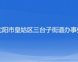 沈陽(yáng)市皇姑區(qū)三臺(tái)子街道辦事處